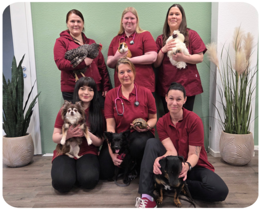 Team der Tierarztpraxis und Einblick in die Praxisräume