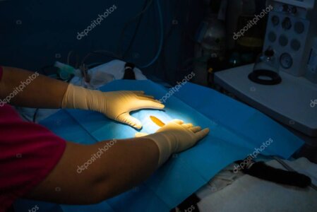 Steriles OP-Feld und aufbereitete Instrumente in der Tierarztpraxis