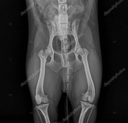 Digitales Röntgen und Ultraschallgerät in der Praxis